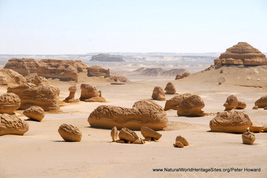 وادى الحيتان